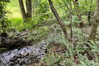 Undeveloped Land for sale in Union County, Georgia