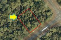 Undeveloped Land in Marion County, Florida