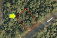 Undeveloped Land in Marion County, Florida