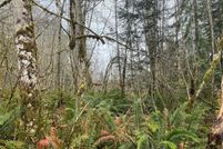 Undeveloped Land in Grays Harbor County, Washington