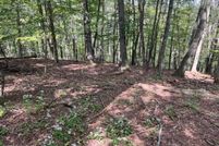 Land for sale in Lycoming County, Pennsylvania