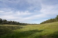 Timberland Property in Yellowstone County, Montana