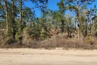 Undeveloped Land for sale in Levy County, Florida