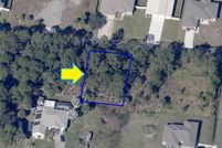 Undeveloped Land in Brevard County, Florida