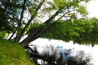 Undeveloped Land in Lincoln County, Wisconsin