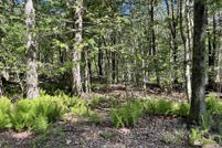 Undeveloped Land for sale in Wayne County, Pennsylvania