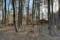 Undeveloped Land in Harrison County, Texas