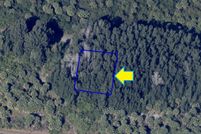 Undeveloped Land in Brevard County, Florida