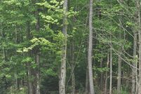 Undeveloped Land for sale in Monroe County, Pennsylvania