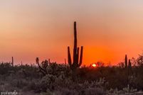 Land for sale in Pinal County, Arizona