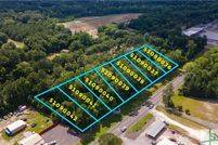 Undeveloped Land for sale in Effingham County, Georgia