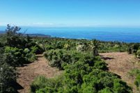 Undeveloped Land in Hawaii County, Hawaii