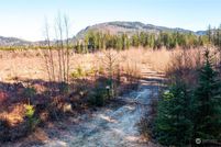 Undeveloped Land in Whatcom County, Washington