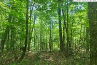 Land for sale in Ashe County, North Carolina