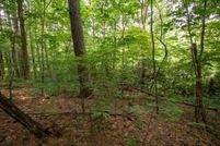 Undeveloped Land for sale in Carroll County, Virginia