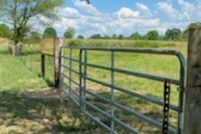 Farm and Ranch for sale in Jackson County, Alabama