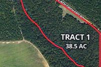 Undeveloped Land for sale in Stewart County, Georgia
