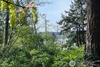 Undeveloped Land in Snohomish County, Washington
