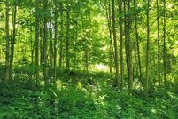 Recreational Property for sale in Clay County, North Carolina