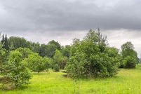 Undeveloped Land in Kalkaska County, Michigan