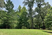 Timberland Property for sale in Camp County, Texas