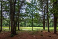 Undeveloped Land for sale in Benzie County, Michigan