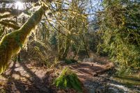 Undeveloped Land in Whatcom County, Washington