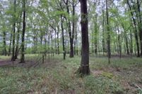 Undeveloped Land for sale in White County, Arkansas