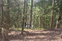 Lakefront Property for sale in Mecosta County, Michigan