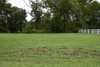 Land for sale in Cleburne County, Arkansas