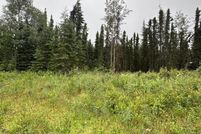 Timberland Property for sale in Kenai Peninsula Borough, Alaska