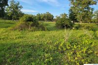 Undeveloped Land for sale in Colorado County, Texas