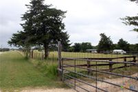 Lakefront Property in Bastrop County, Texas