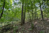 Undeveloped Land in Appomattox County, Virginia