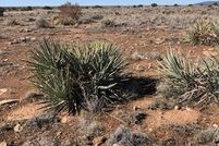 Land for sale in Navajo County, Arizona