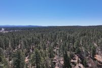 Land for sale in Navajo County, Arizona