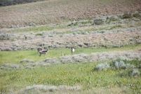 Land for sale in Moffat County, Colorado