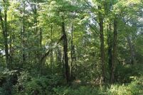 Land for sale in Marquette County, Wisconsin