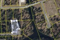 Undeveloped Land in Brantley County, Georgia