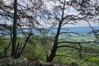 Undeveloped Land in Bledsoe County, Tennessee