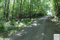 Undeveloped Land for sale in Patrick County, Virginia