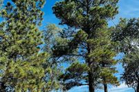 Recreational Property for sale in Rio Arriba County, New Mexico
