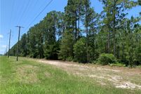 Undeveloped Land in Wayne County, Georgia