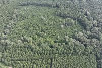 Land for sale in Allen Parish, Louisiana