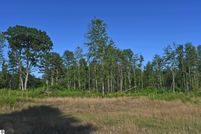 Land for sale in Alcona County, Michigan