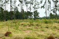 Lakefront Property for sale in Sabine Parish, Louisiana