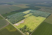 Farm and Ranch for sale in White County, Arkansas