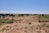 Land for sale in Navajo County, Arizona