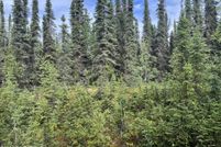 Undeveloped Land in Kenai Peninsula Borough, Alaska