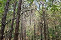 Undeveloped Land for sale in Marion County, Alabama